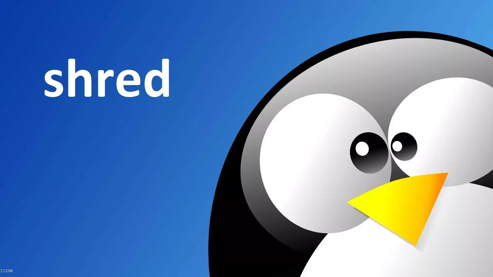 آموزش حذف دائمی فایل از لینوکس به زبان ساده