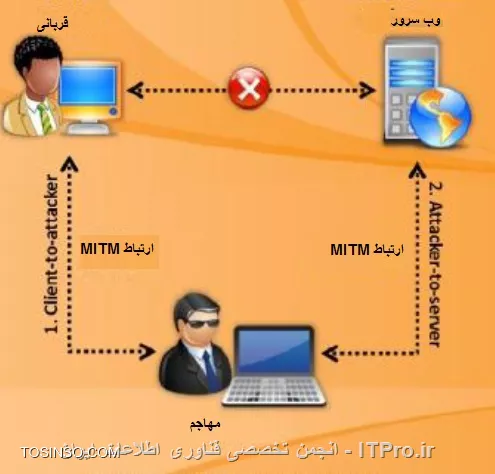 وب سایت توسینسو