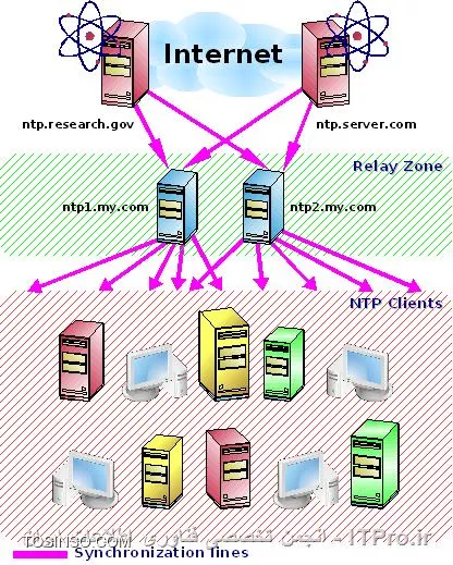 وب سایت توسینسو