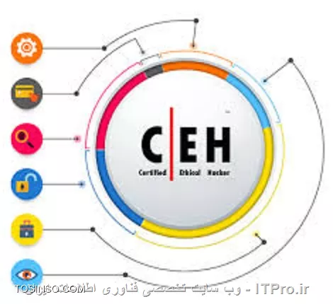 وب سایت توسینسو