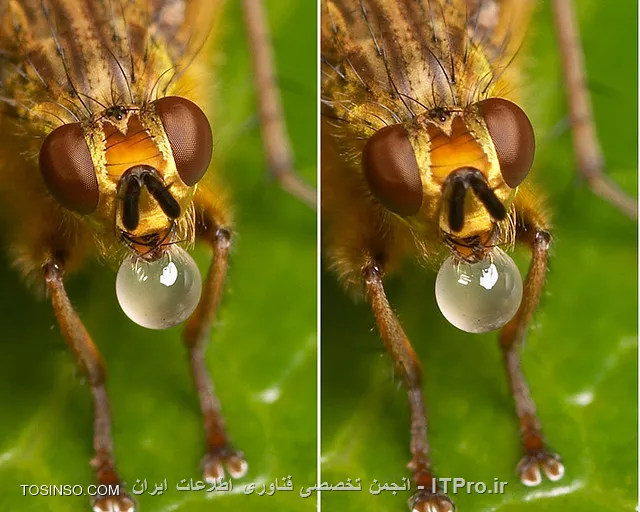 تصویر سه بعدی