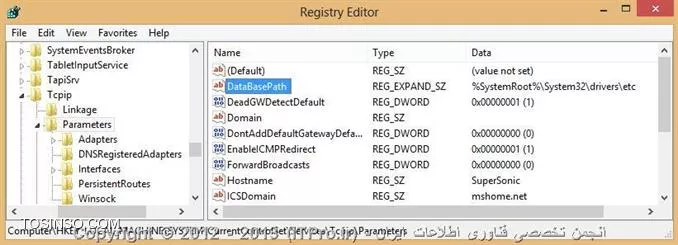 وب سایت توسینسو