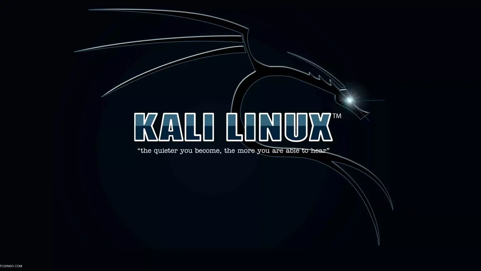 آموزش نصب و پیکربندی کالی لینوکس در VMware Player بصورت تصویری