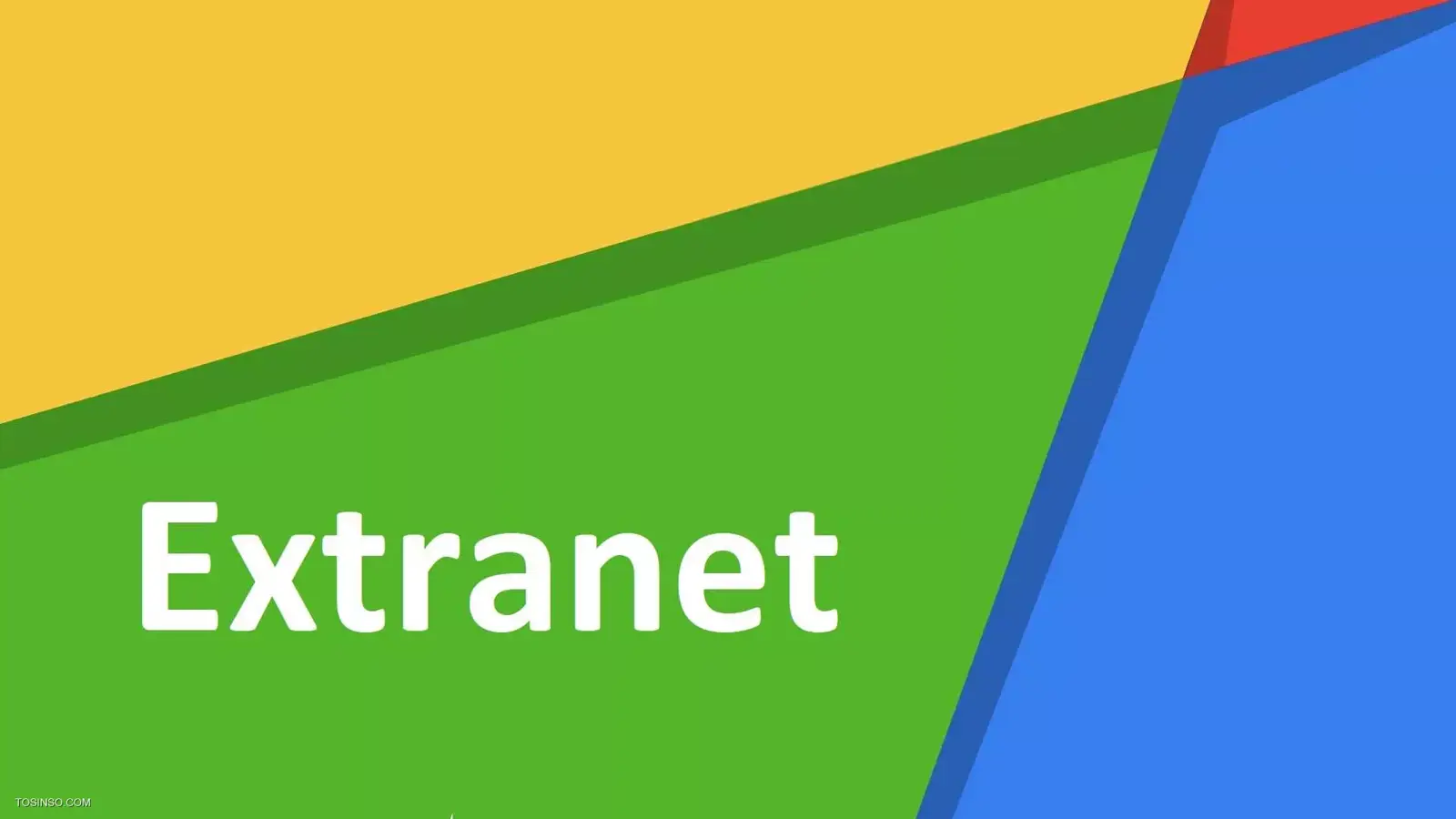 اکسترانت چیست؟ بررسی مفهوم شبکه Extranet