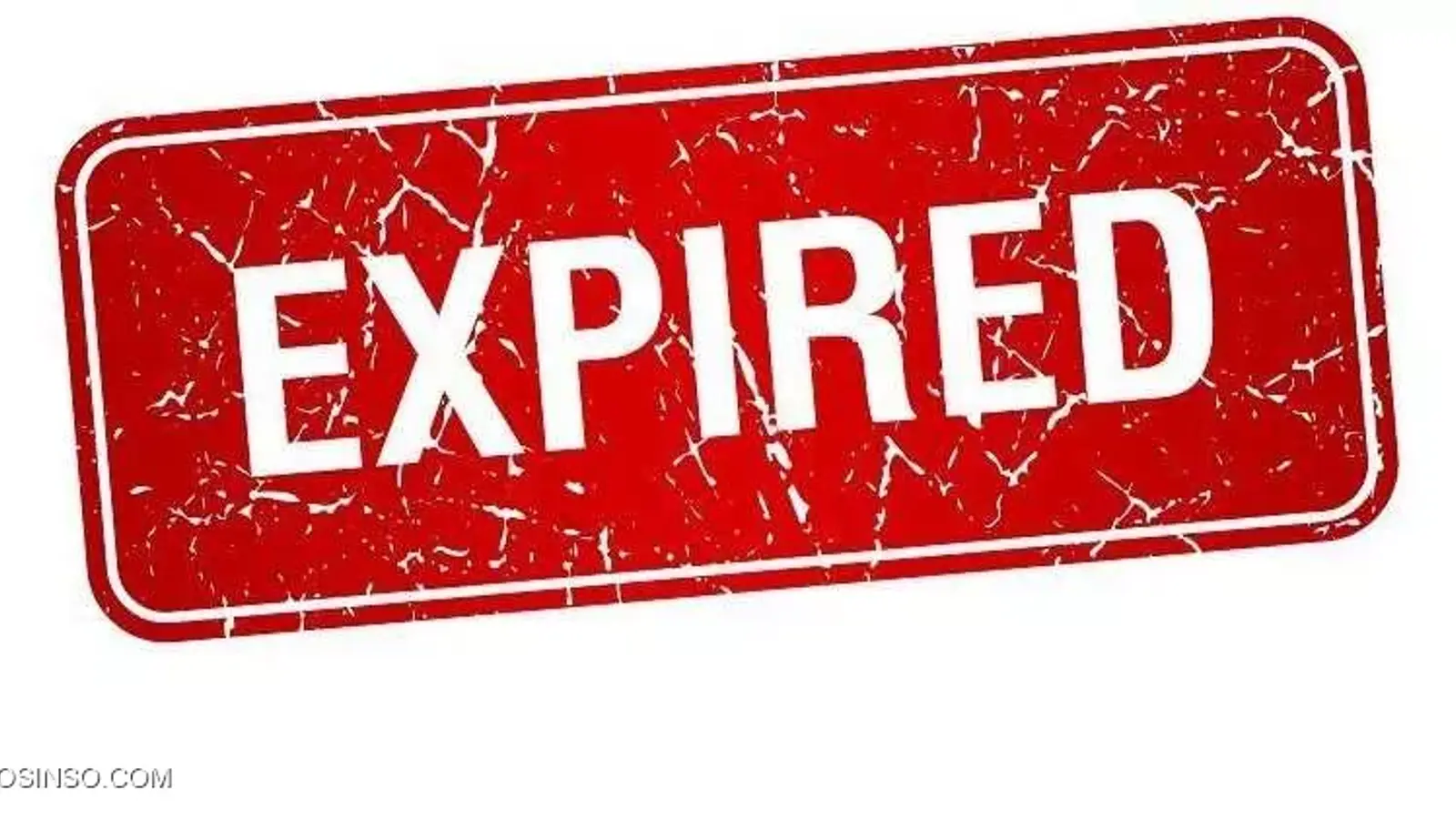 آیا تمدید چند ساله دومین در سئو تاثیرگذار است؟ به زبان ساده