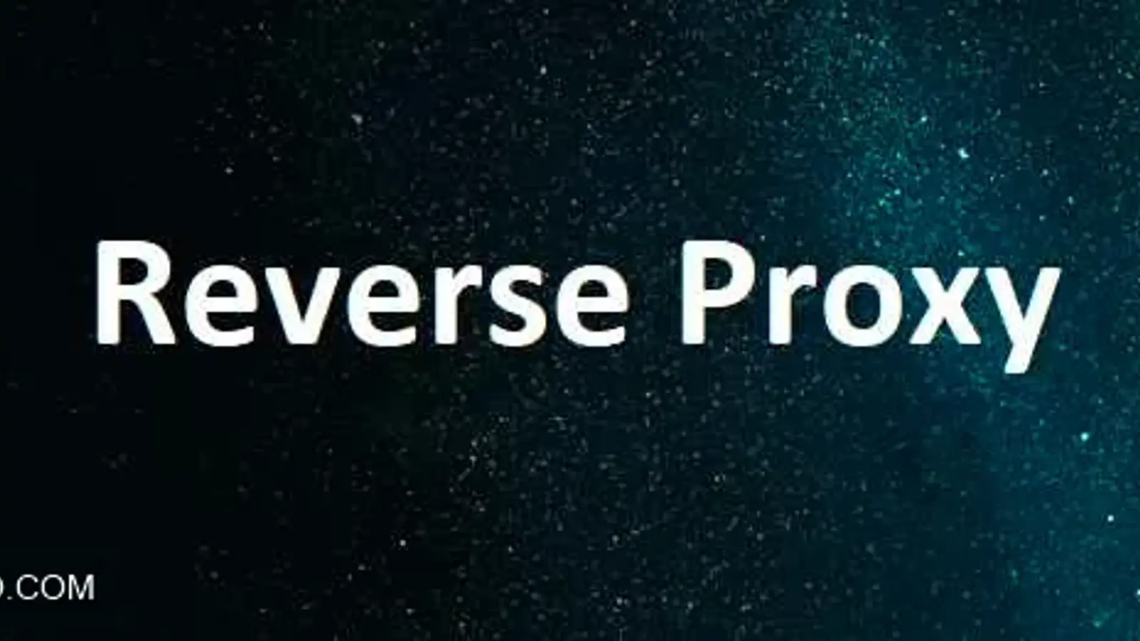 Reverse Proxy چیست؟ پروکسی معکوس چیست به زبان بسیار ساده