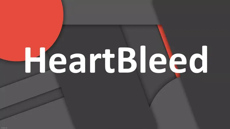 HeartBleed چیست؟ آشنایی با آسیب پذیری خونریزی قلبی و روش مقابله