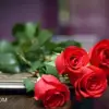 مریم مزرعه شاهی