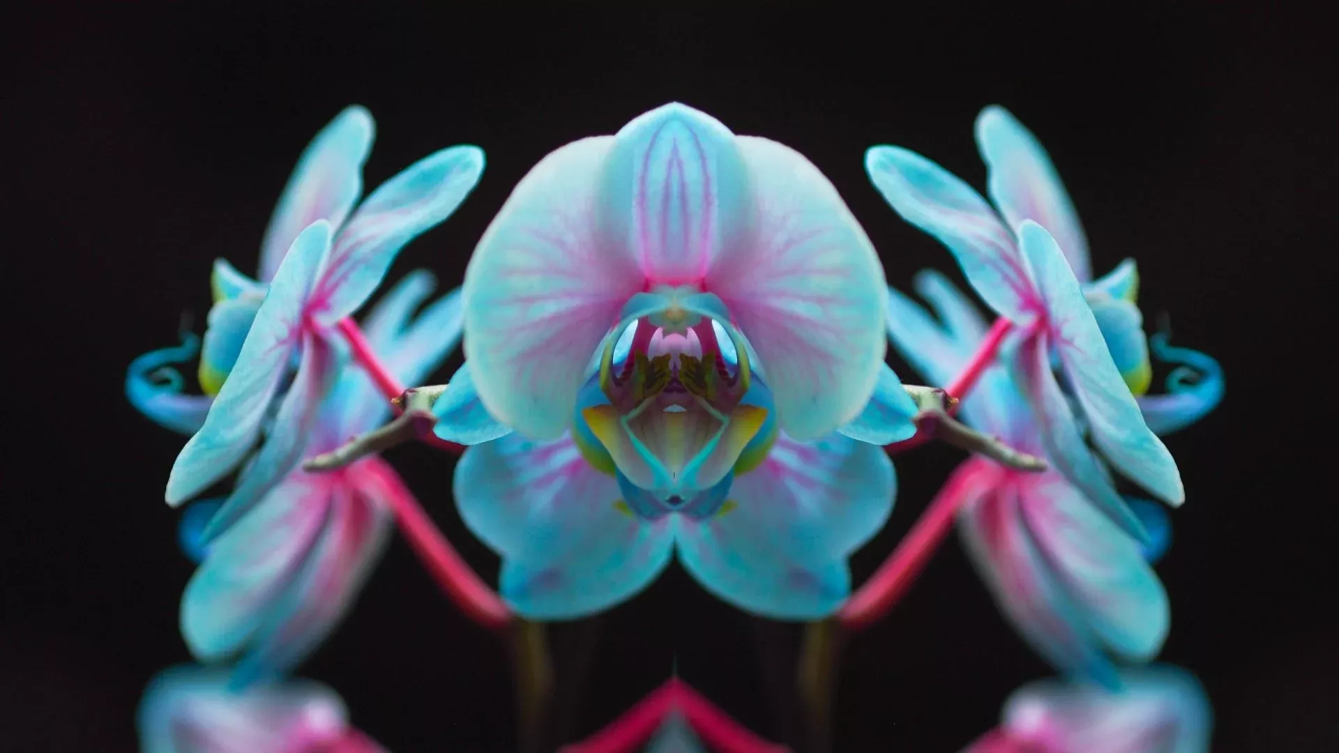 کنتراست رنگی چیست