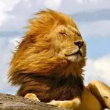 جعفر اسکندری