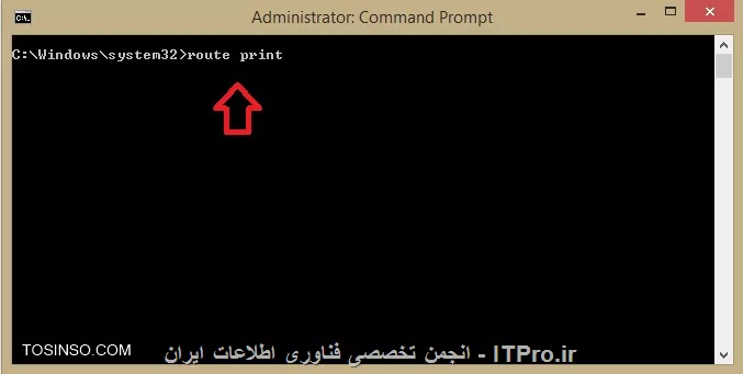وب سایت توسینسو