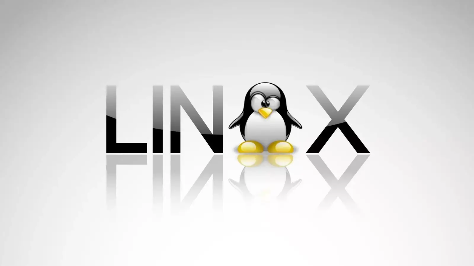 معرفی انواع کاربر ( User ) در لینوکس به زبان ساده 