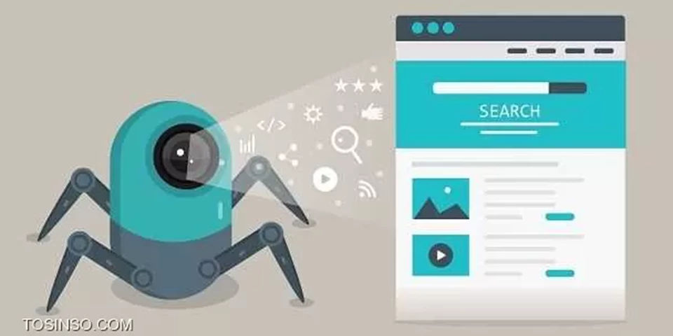 Crawler چیست؟ Spider چیست؟ بررسی مفهوم عنکبوت در سئو به زبان ساده