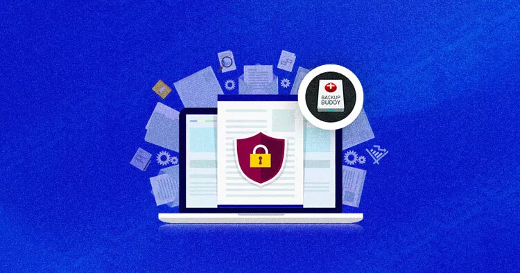 افزونه BackupBuddy