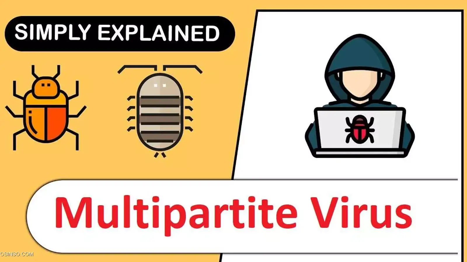 ویروس چند وجهی چیست؟ معرفی ویروس Multipartite به زبان ساده