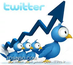 وب سایت توسینسو