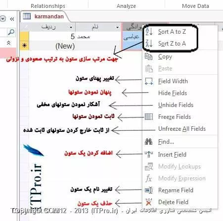 وب سایت توسینسو