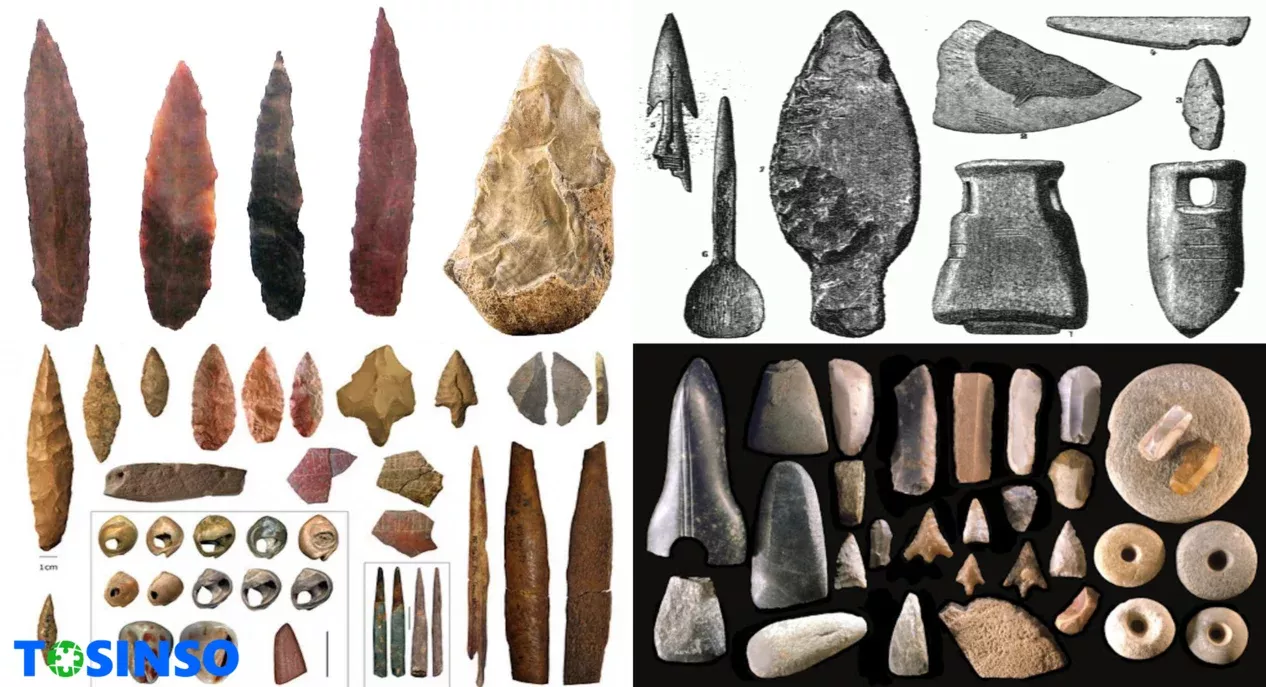 انواع ابزارهای شکار انسان های نخستین