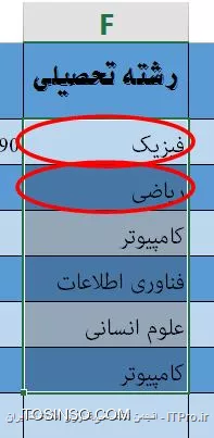 وب سایت توسینسو