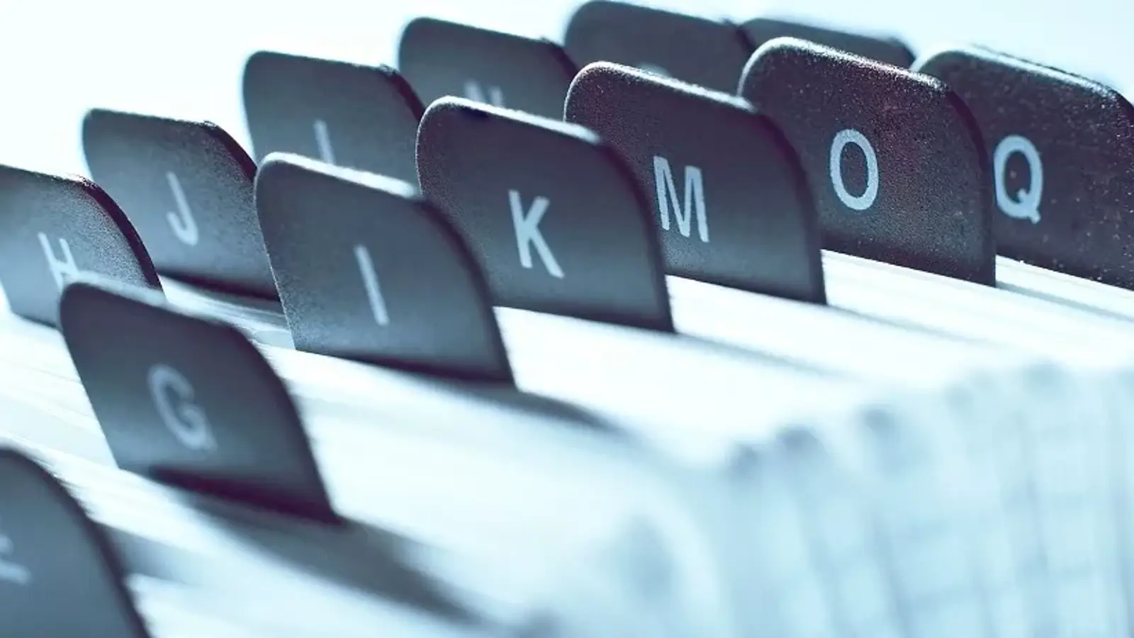 وب دایرکتوری چیست؟ بررسی مفهوم Web Directory در سئو