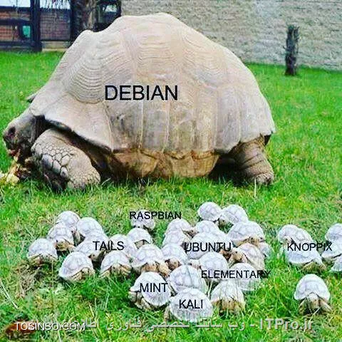 من همیشه برای شروع Debian رو پیشنهاد میدم و حتی تدریسم هم بر پایه Debian هست : 
||http://linux.tosinso.com/files/get/e5b77d51-603f-4c90-a46a-1ba202fe1791||
طبیعیه کیا Kali رو داد میزنن ، کساییکه امروزه فقط به اسم کالی یاد دادن کلی پول در میارن !! اسم لینوکس میاد همه میگن کالی ... از خود لینوکس اسمش رو بیشتر الان میشناسن ، چرا ؟ چون هر کسی از راه رسیده دیده خوب پولی داره بیاد از این راه کار کنه شروع کردن جار زدن ! من جایی دیدم LPIC با Kali میگن ! خوب پدرت خوب مادرت خوب بابا منطق هم خوب چیزیه عکس بالا گویاست ...
