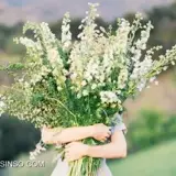 کاربر توسینسو