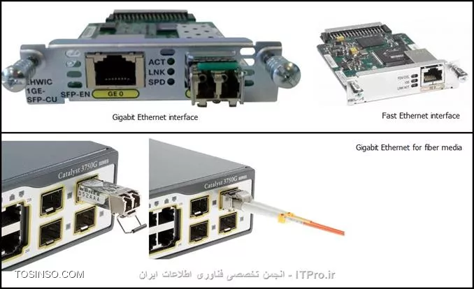 وب سایت توسینسو