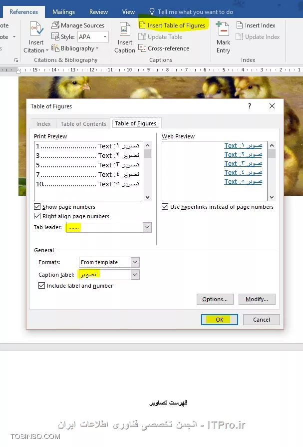 وب سایت توسینسو