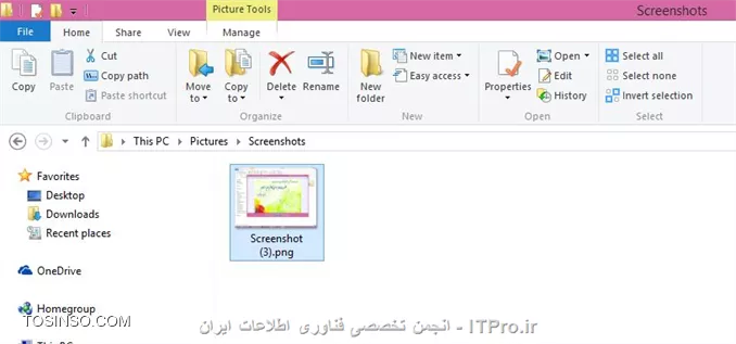 وب سایت توسینسو
