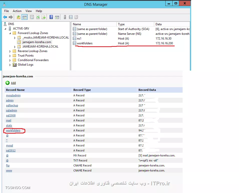 وب سایت توسینسو