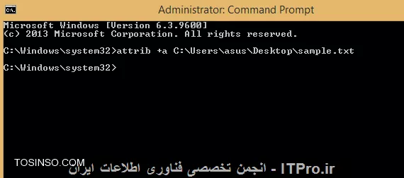وب سایت توسینسو