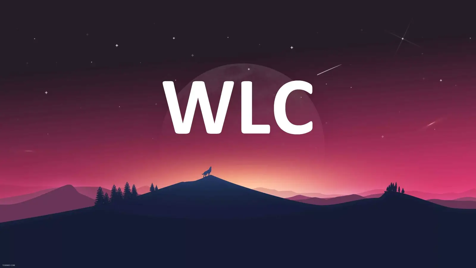 WLC چیست؟ بررسی مفهوم Wireless LAN Controller به زبان ساده