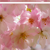 آواتار کاربر