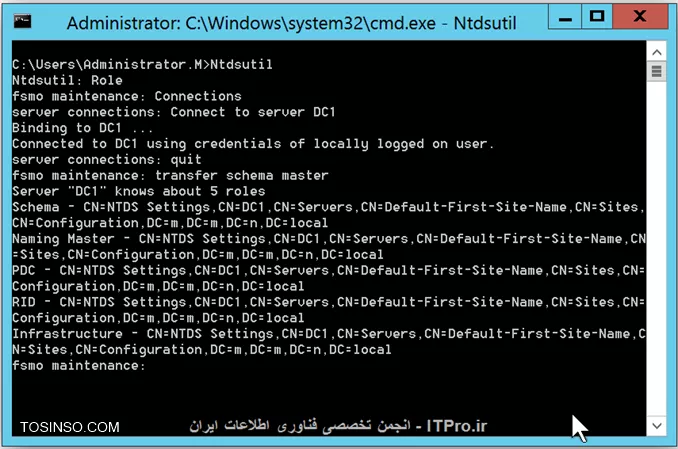 وب سایت توسینسو