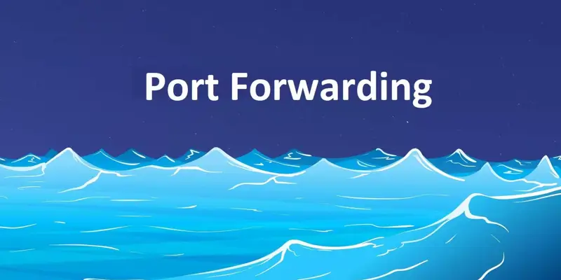 پورت فوروارد (Port Forward) چیست؟ معرفی انواع و کاربرد Forwarding