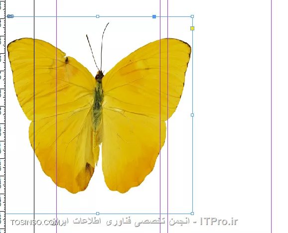 وب سایت توسینسو