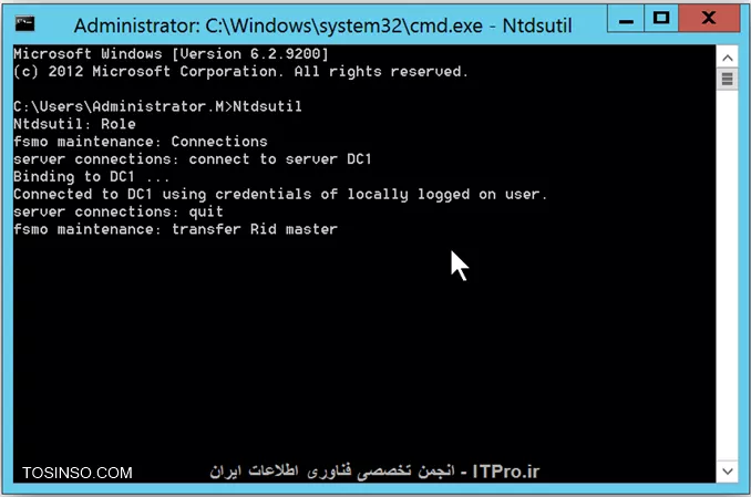 وب سایت توسینسو