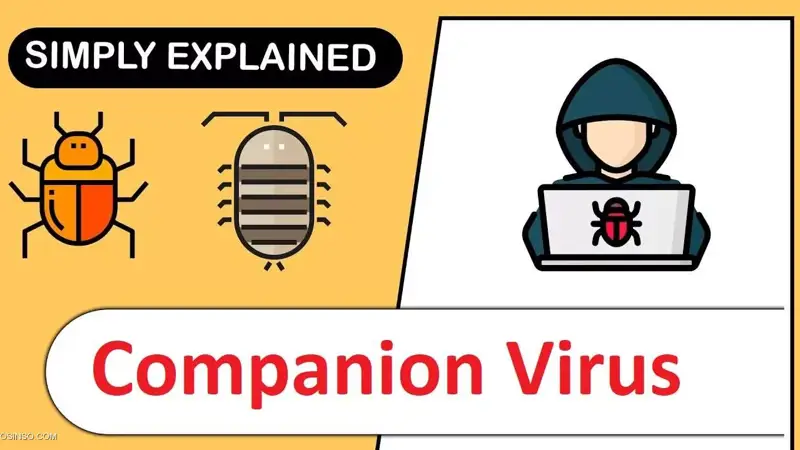 ویروس کامپانیون چیست؟ معرفی Companion Virus به زبان ساده