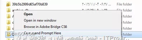 وب سایت توسینسو