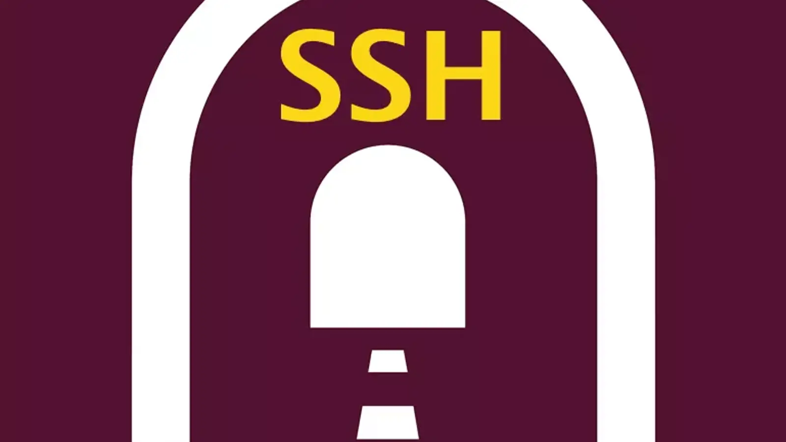 SSH Tunneling چیست و چگونه پیکربندی میشود؟