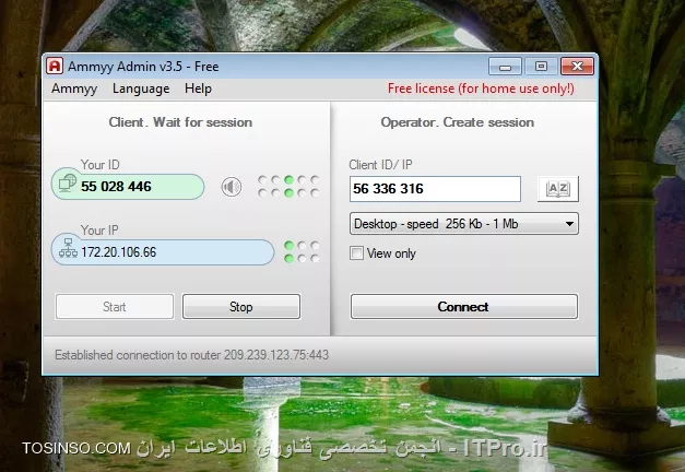 وب سایت توسینسو