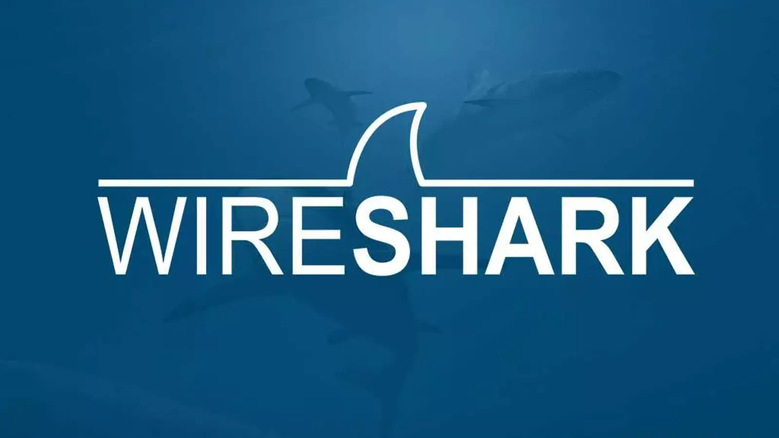 آموزش رفع مشکل تشخیص ندادن کارت شبکه (Interface) در وایرشارک 