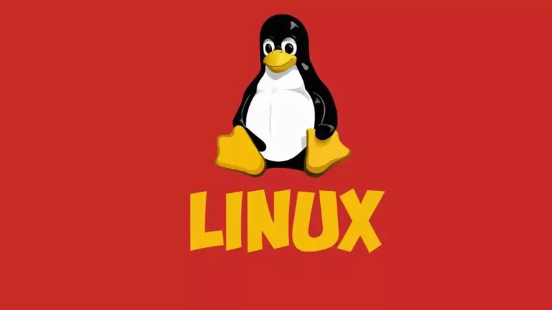 آموزش رزرو کردن IP در DHCP سرور لینوکس به زبان ساده